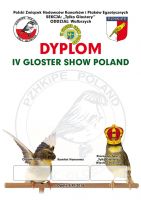 Dyplom